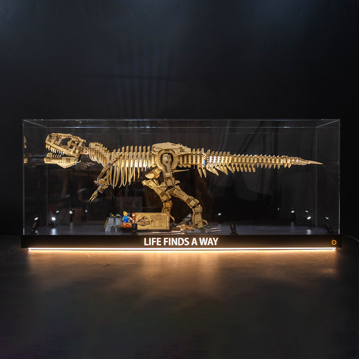 【Premium】Display Case for LEGO 76968 Dinosaur Fossils: T. rex