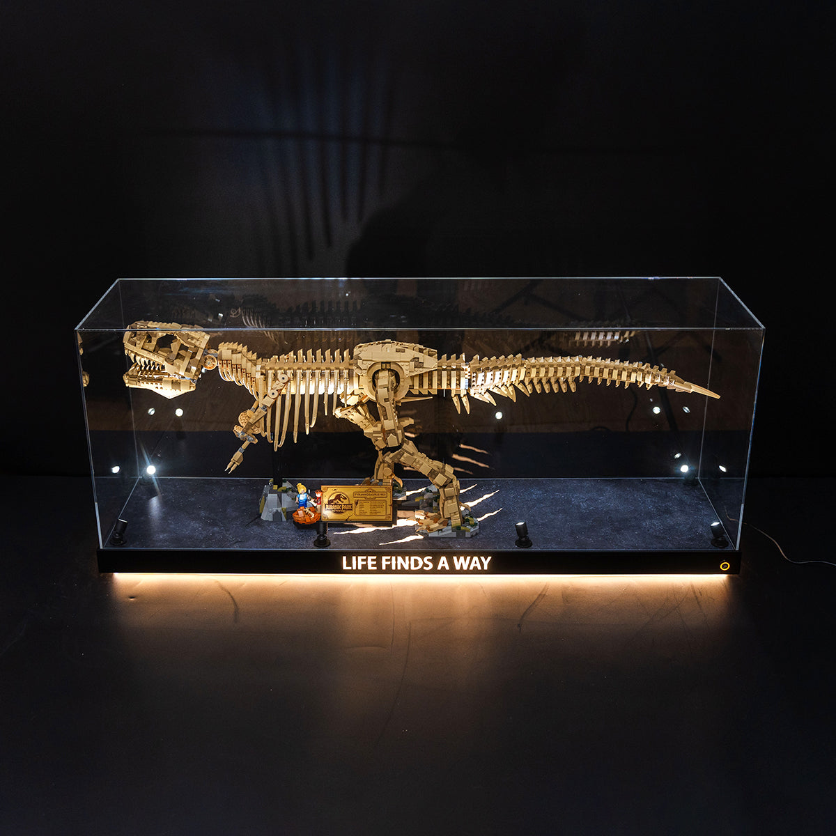 【Premium】Display Case for LEGO 76968 Dinosaur Fossils: T. rex