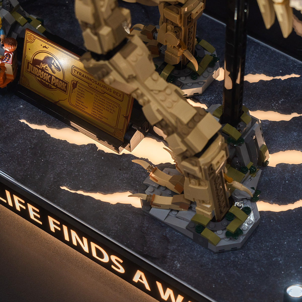 【Premium】Display Case for LEGO 76968 Dinosaur Fossils: T. rex