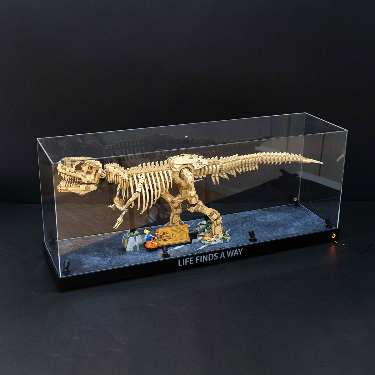 【Premium】Display Case for LEGO 76968 Dinosaur Fossils: T. rex