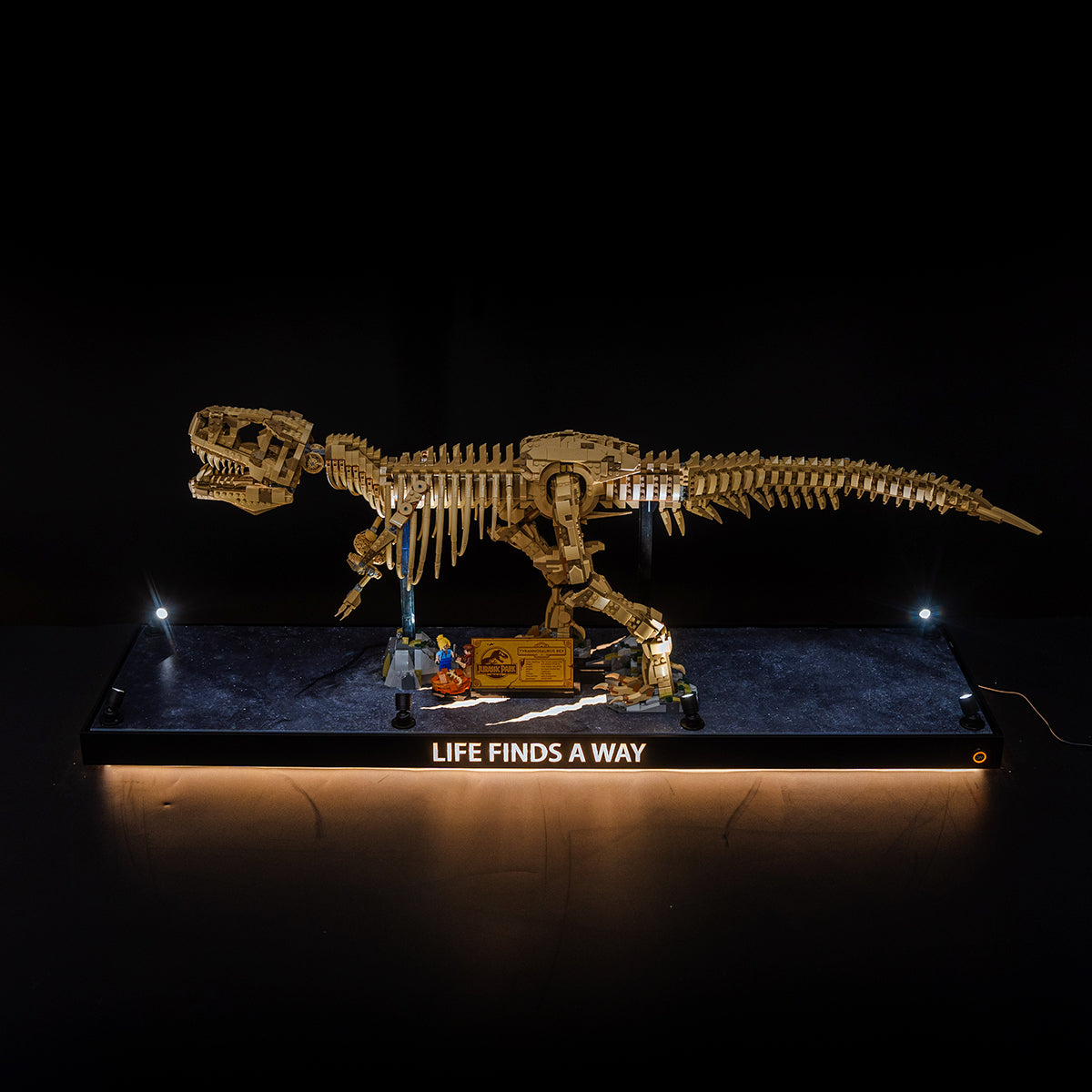 【Premium】Display Case for LEGO 76968 Dinosaur Fossils: T. rex
