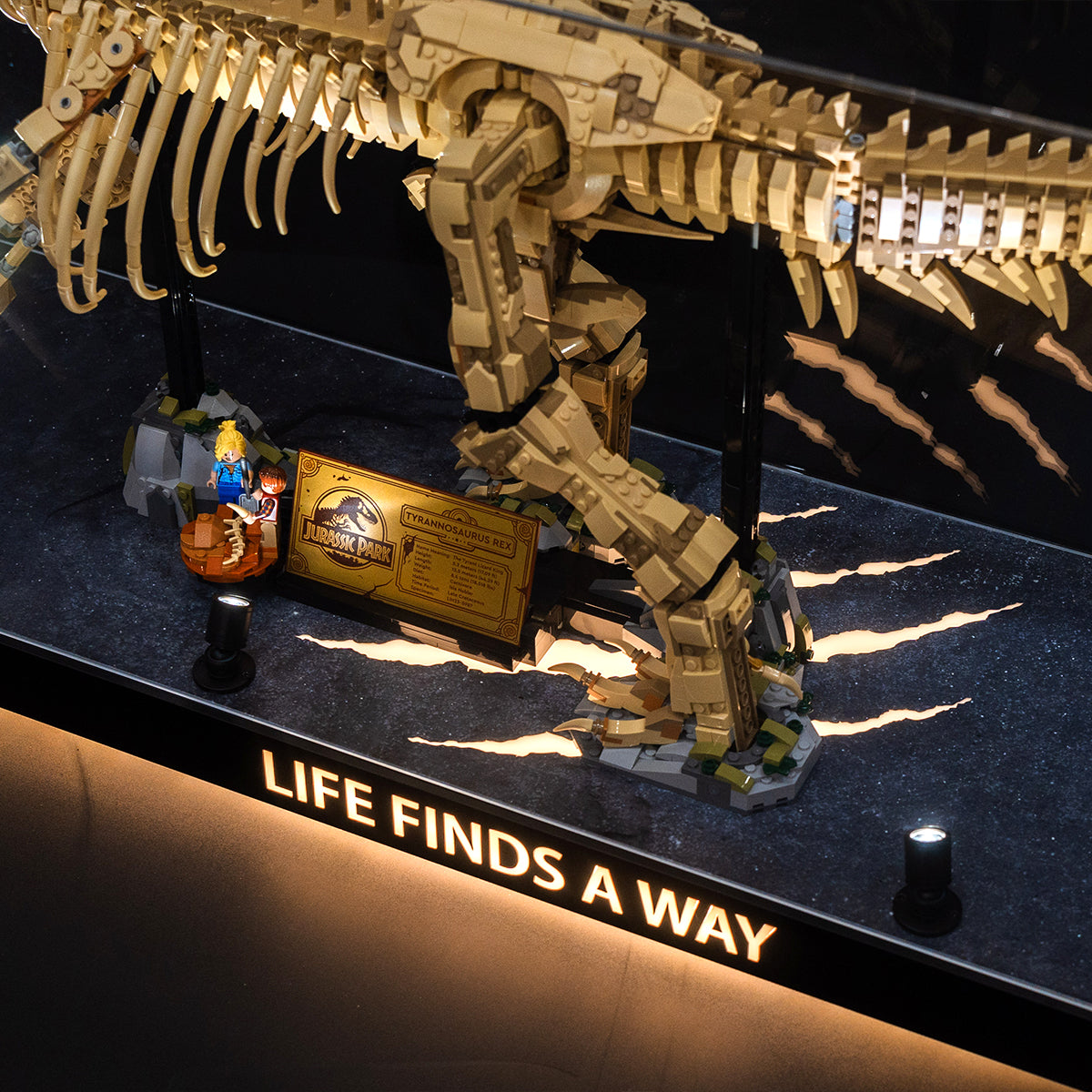 【Premium】Display Case for LEGO 76968 Dinosaur Fossils: T. rex