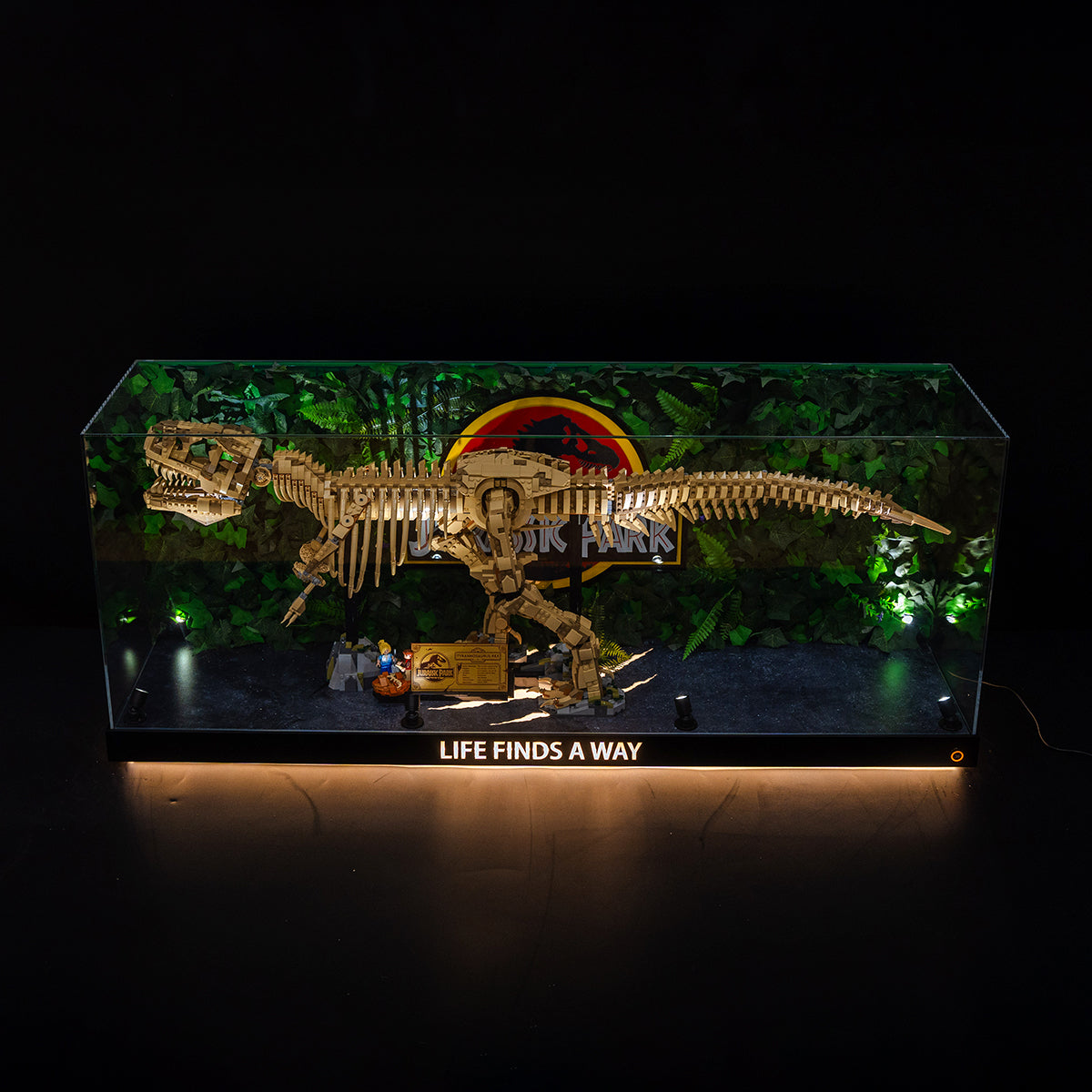 【Premium】Display Case for LEGO 76968 Dinosaur Fossils: T. rex