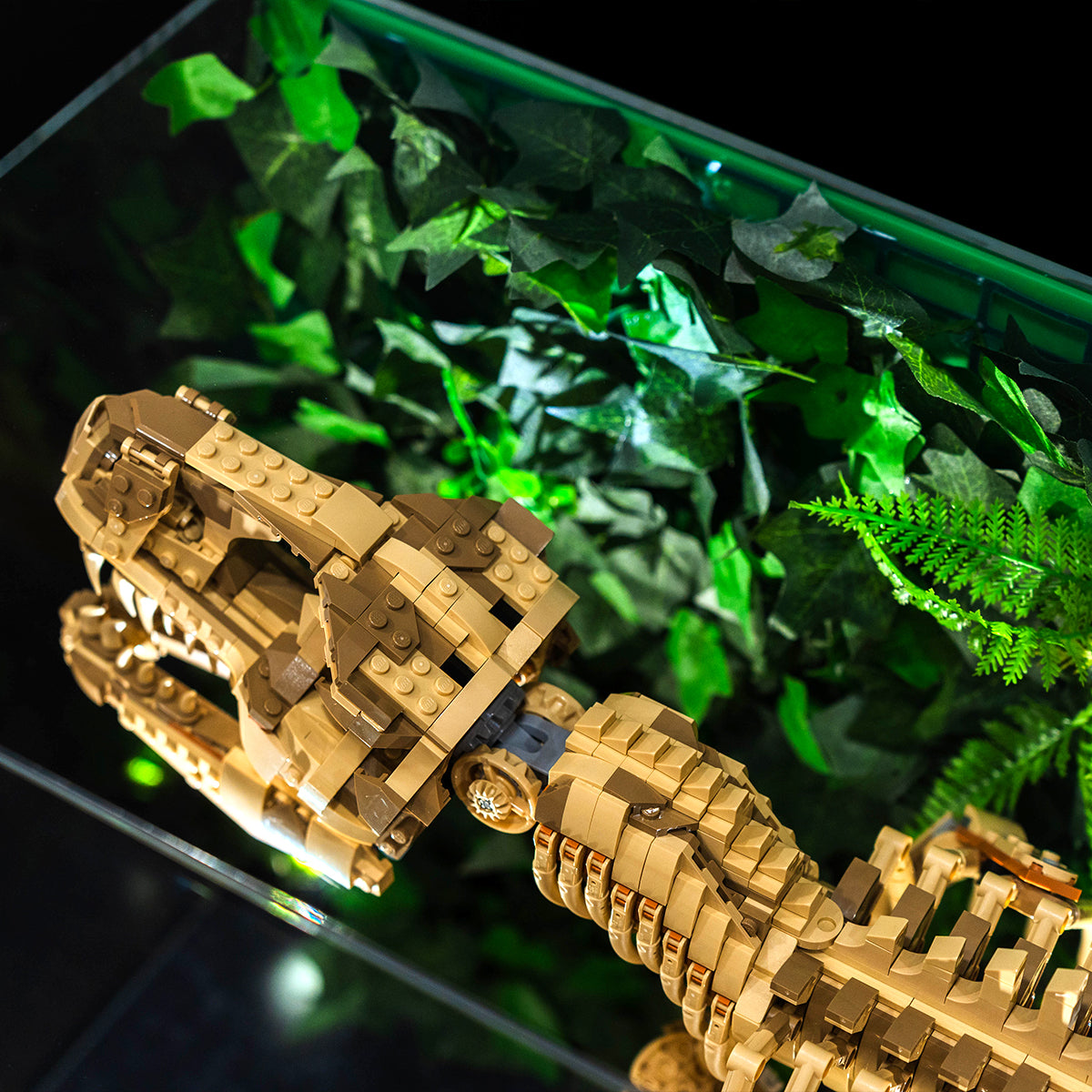 【Premium】Display Case for LEGO 76968 Dinosaur Fossils: T. rex